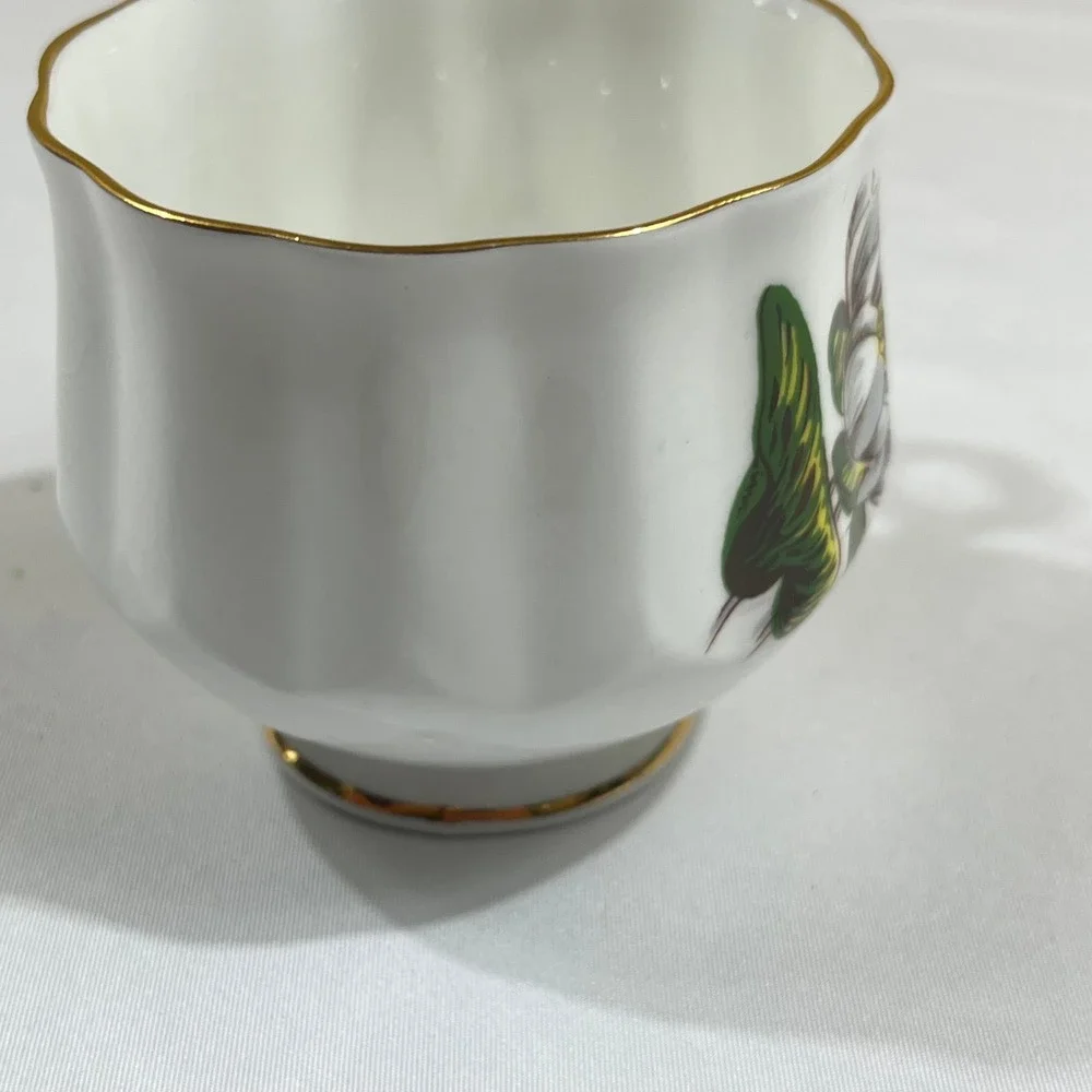 Royal Dover Tea Cup Saucer Set July Water Lily Bone China